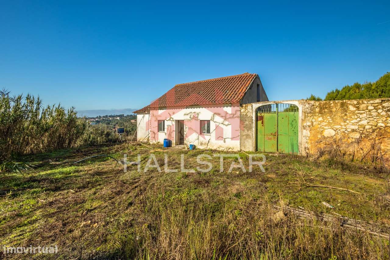 Quinta T3 em Remodelação / Terreno com 9.323m2 / Boa Vista-5