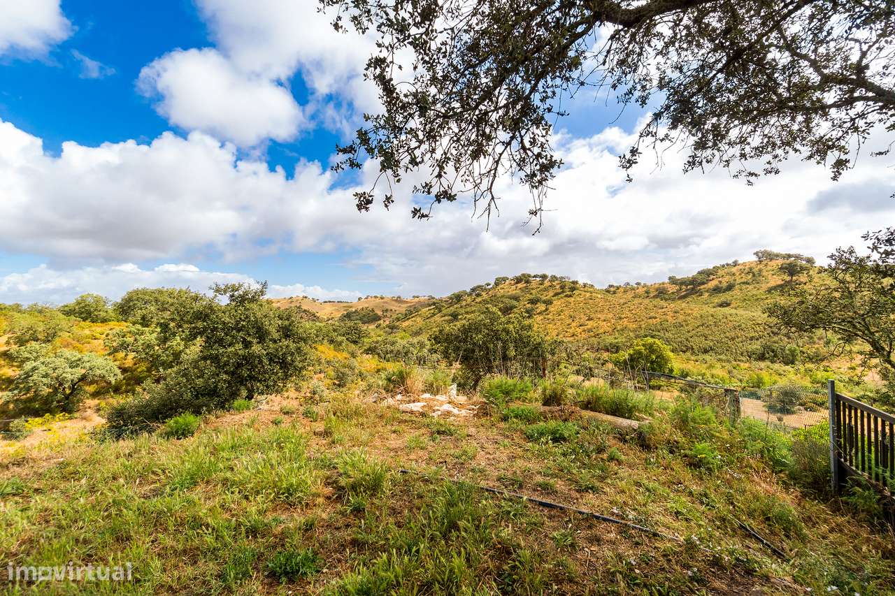Quinta Autónoma no Alentejo-24