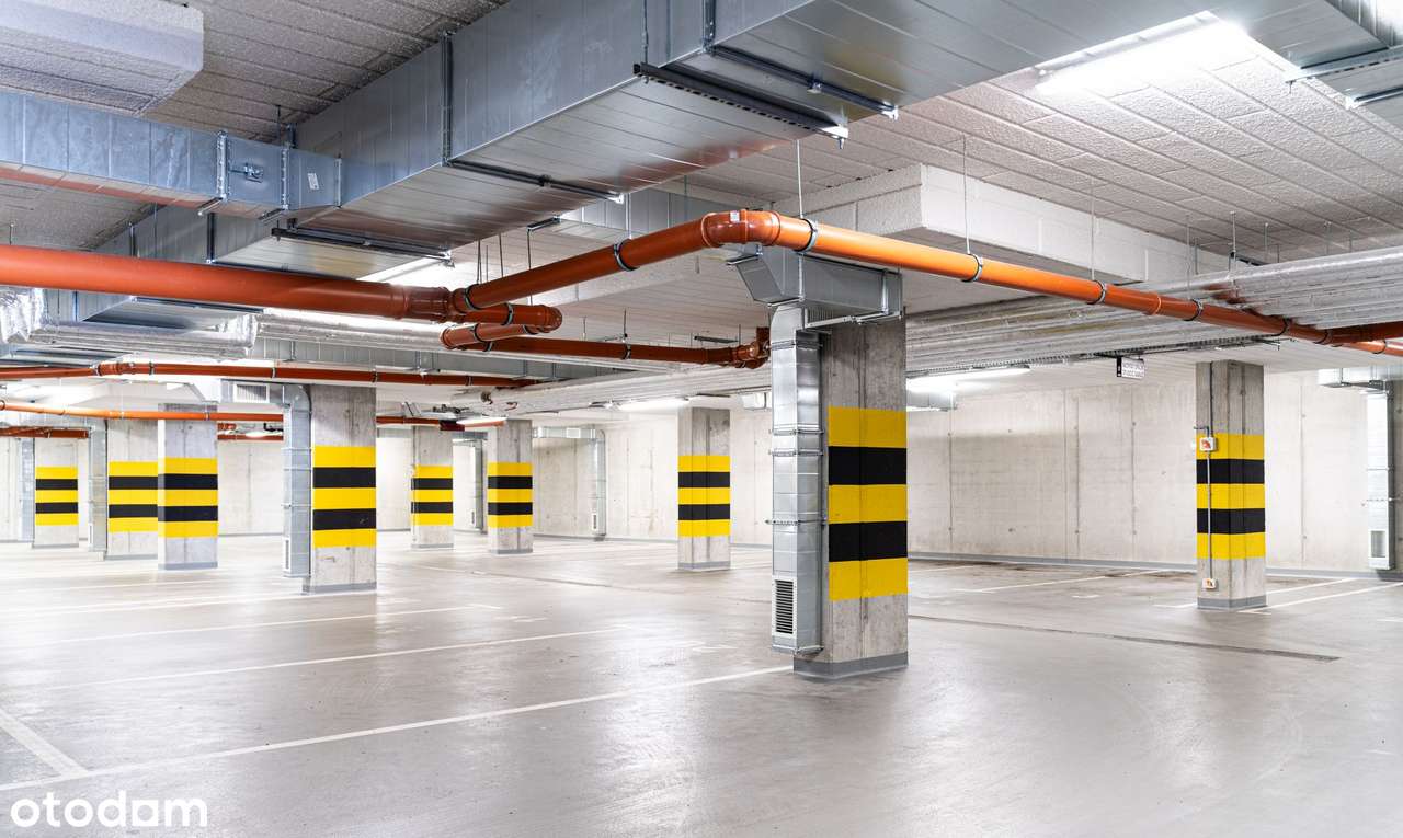 Daszyńskiego Park | B16 - Pełny obrazek: 3/9