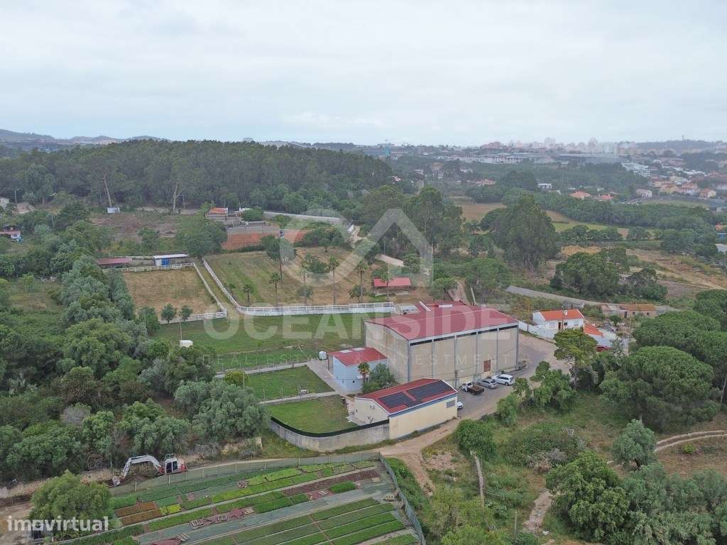 Quinta em Serradas, com terreno de 17.000m²-56