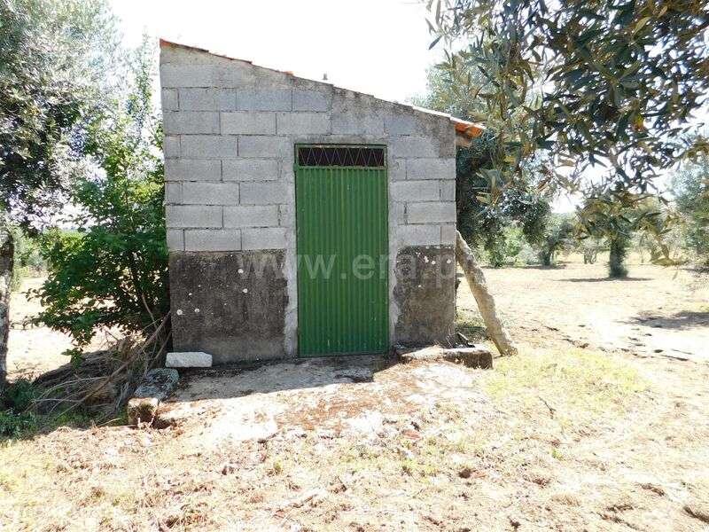 Terreno / Gouveia, Vila Nova de Tazem - Grande imagem: 4/20