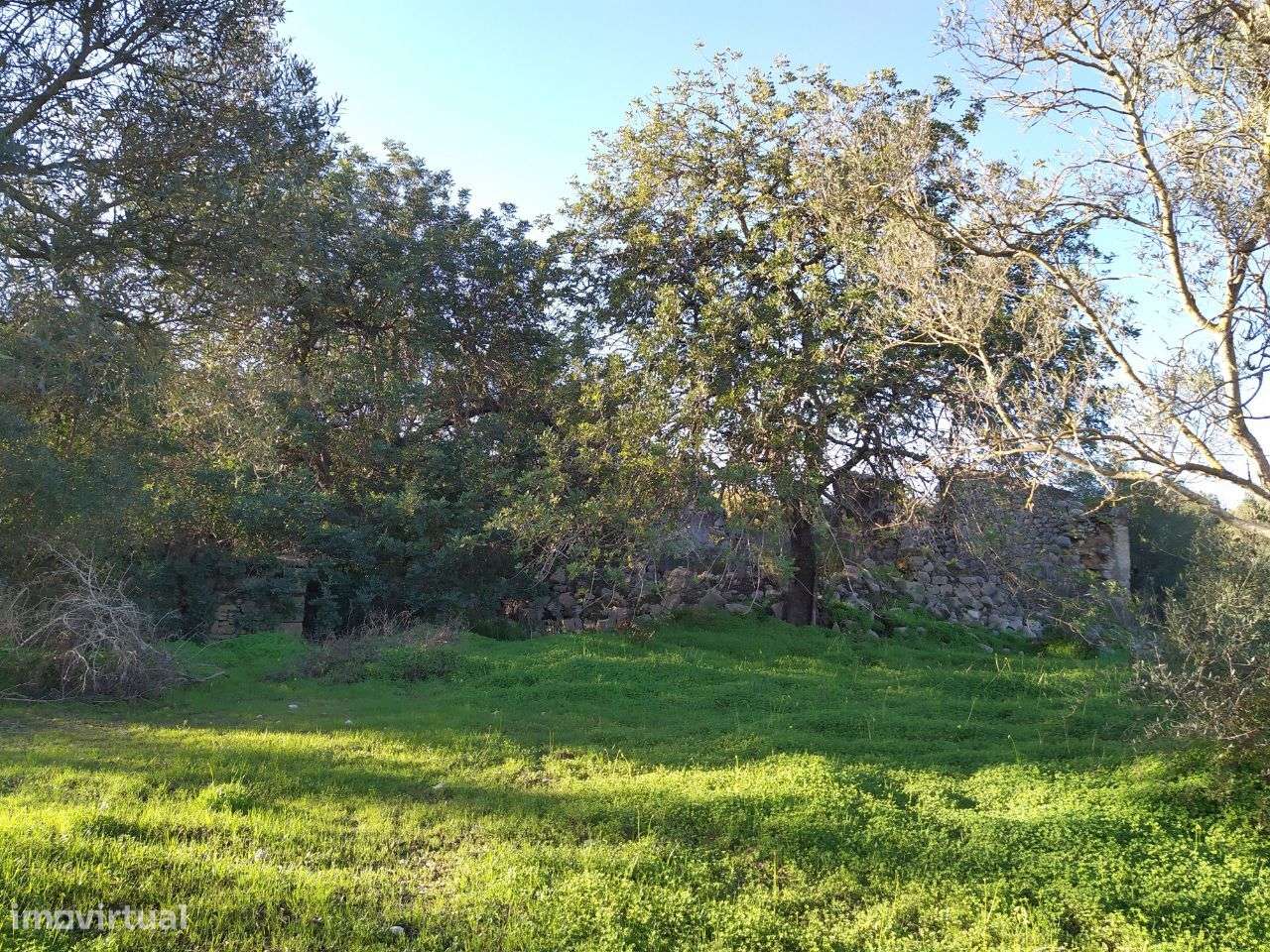 Quinta C/ 5000M2 Terreno Sta Bárbara C/ Vista Mar - Grande imagem: 5/13