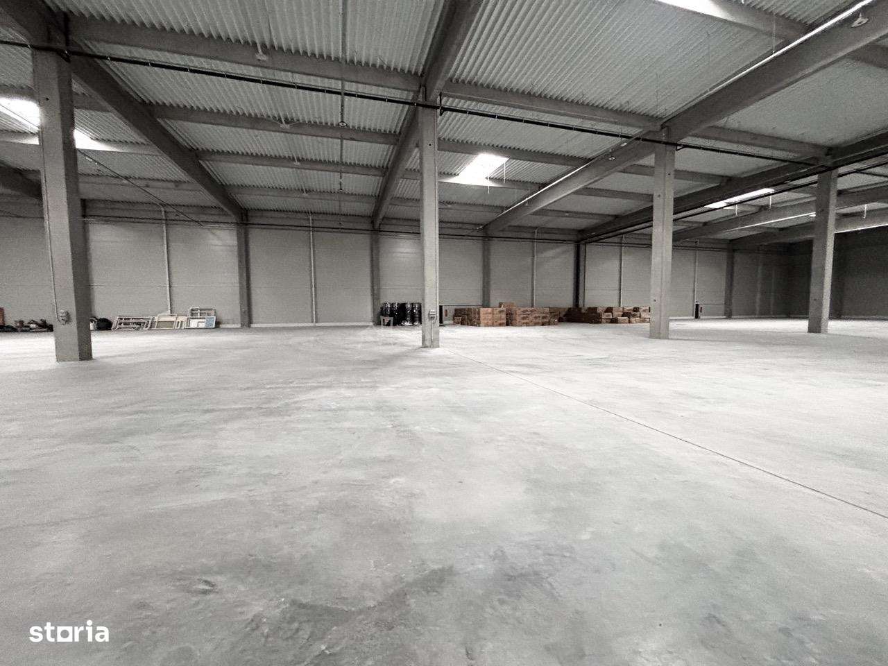 Hala Industriala Noua 2025 – Acces Rapid la Autostrada  - 7000 mp-12