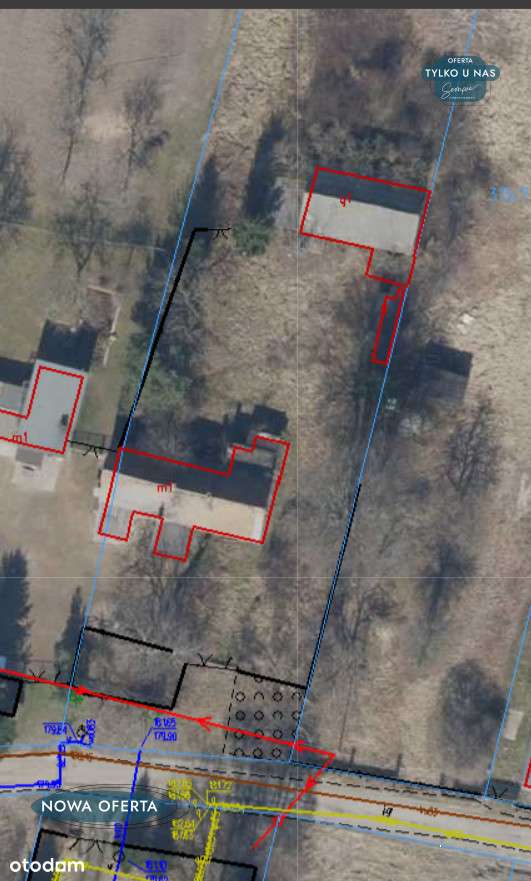 Ale będzie San Francisco.....! - Pełny obrazek: 2/3