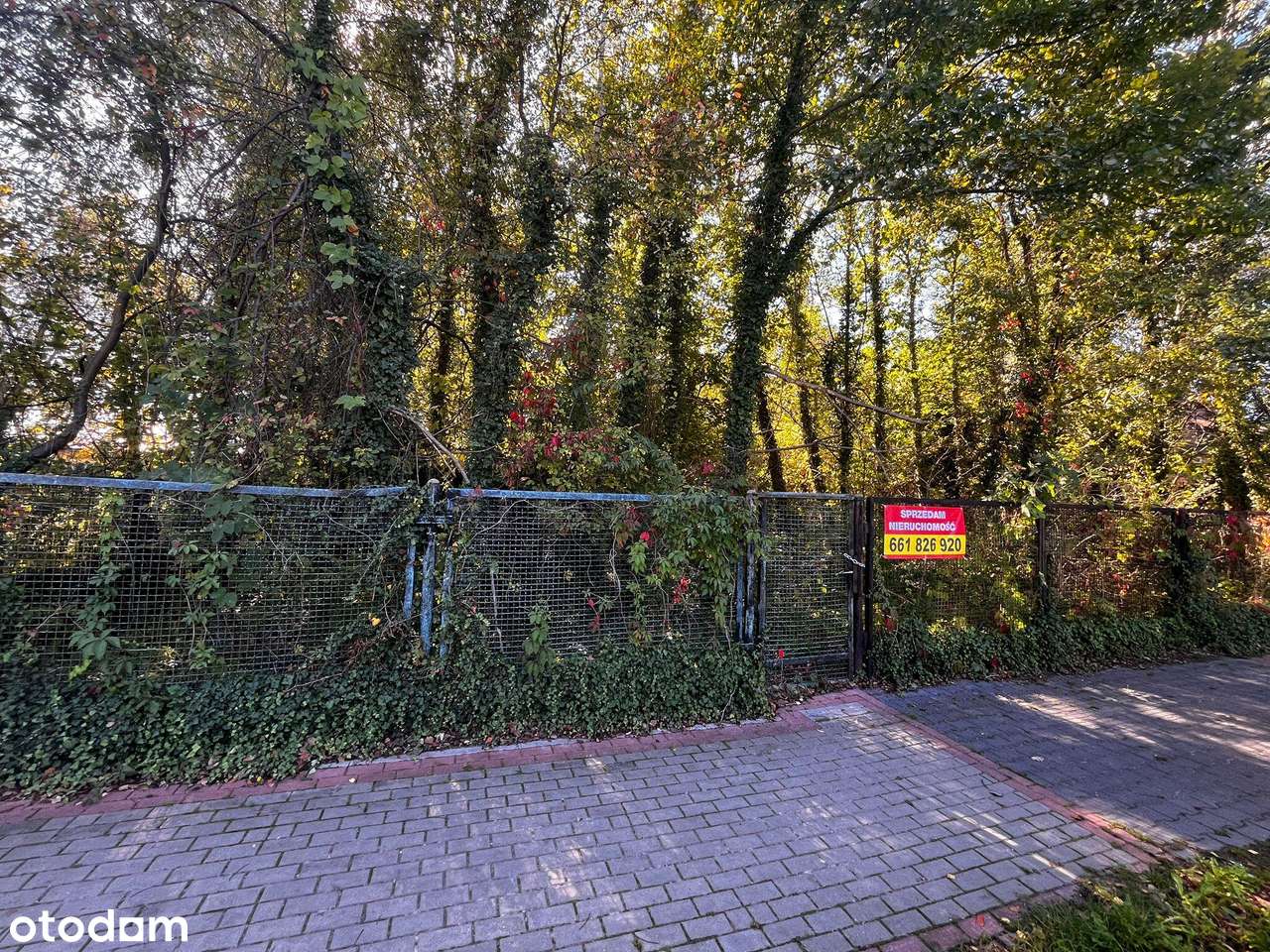 Działka 2376 m² z MPZP – Międzyborów media.-6