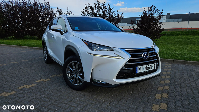 Lexus NX - 25