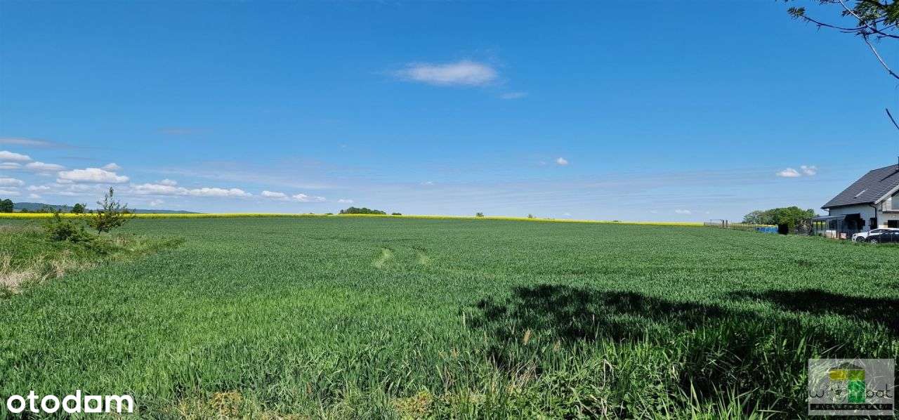 Działka, 5 000 m², Lutomia Dolna-3