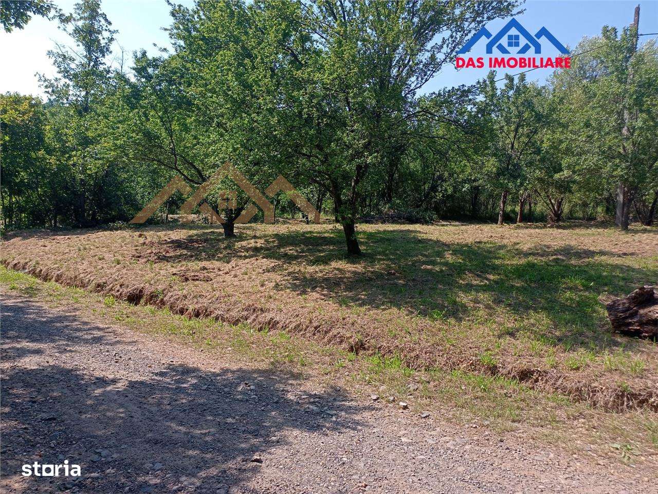 Teren intravilan,  2,5 ha, zona de deal in Seini - Imagine principală: 1/5