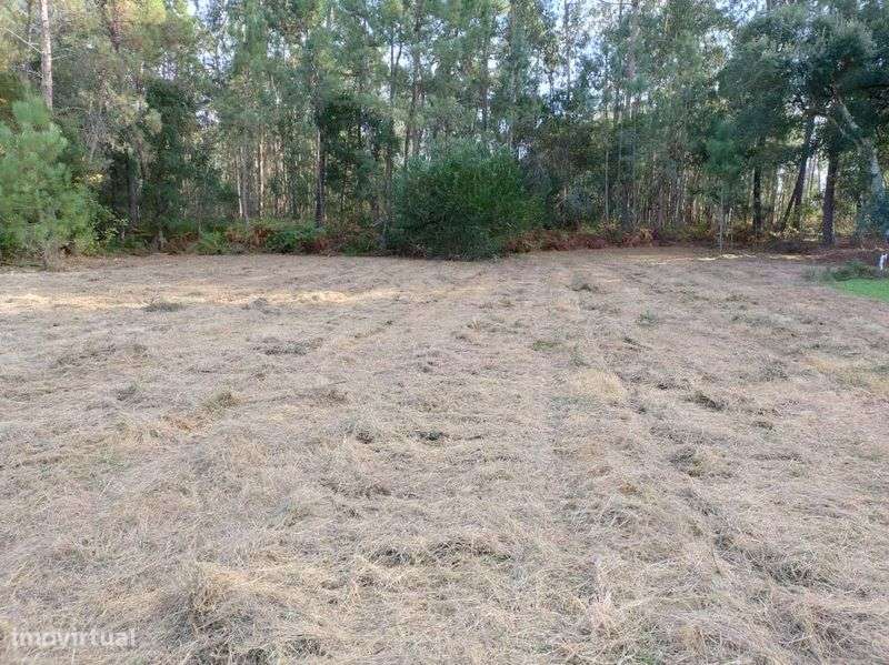 Moradia Isolada de 2 Pisos-  Oportunidade Única! *PRONTO PAGAMENTO* - Grande imagem: 4/8