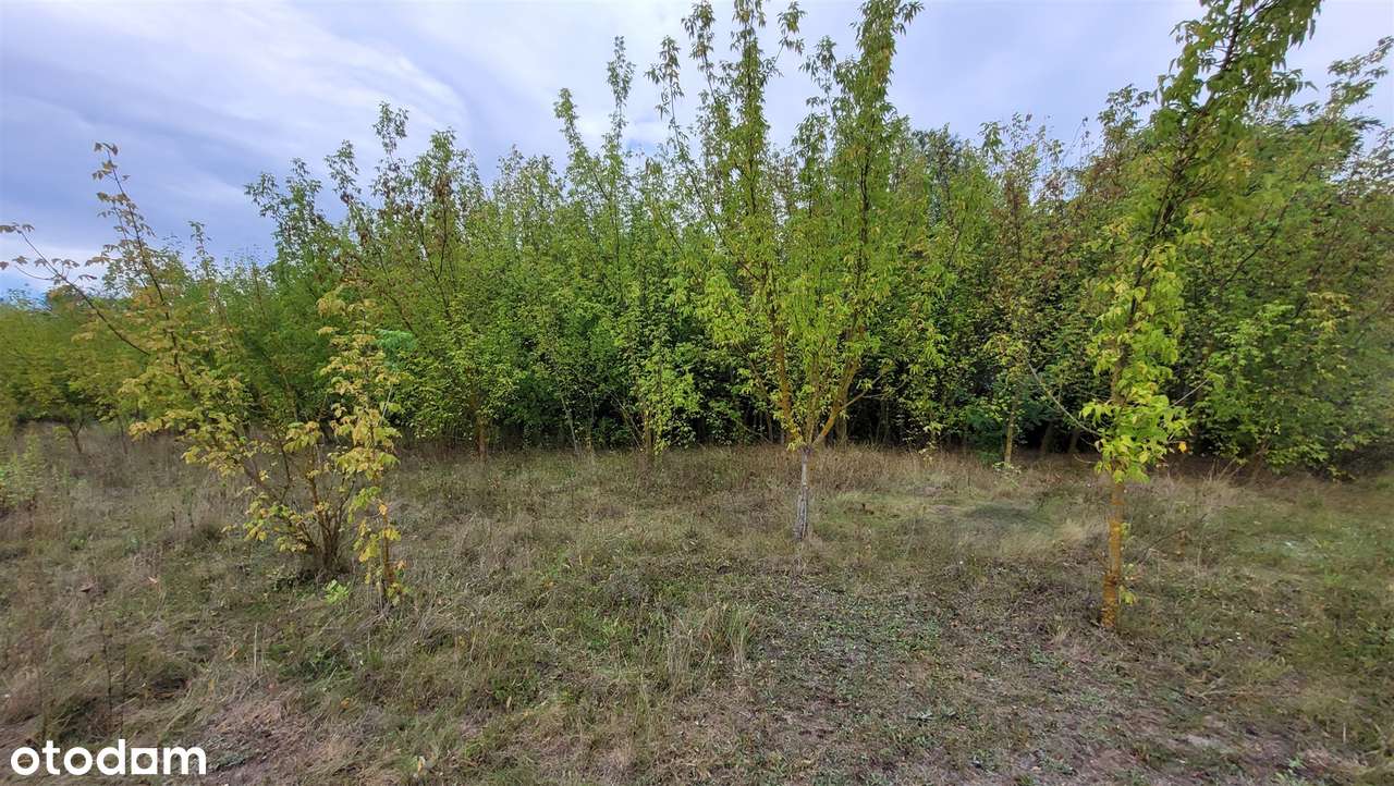 działka siedliskowa okolice Sochaczewa-6