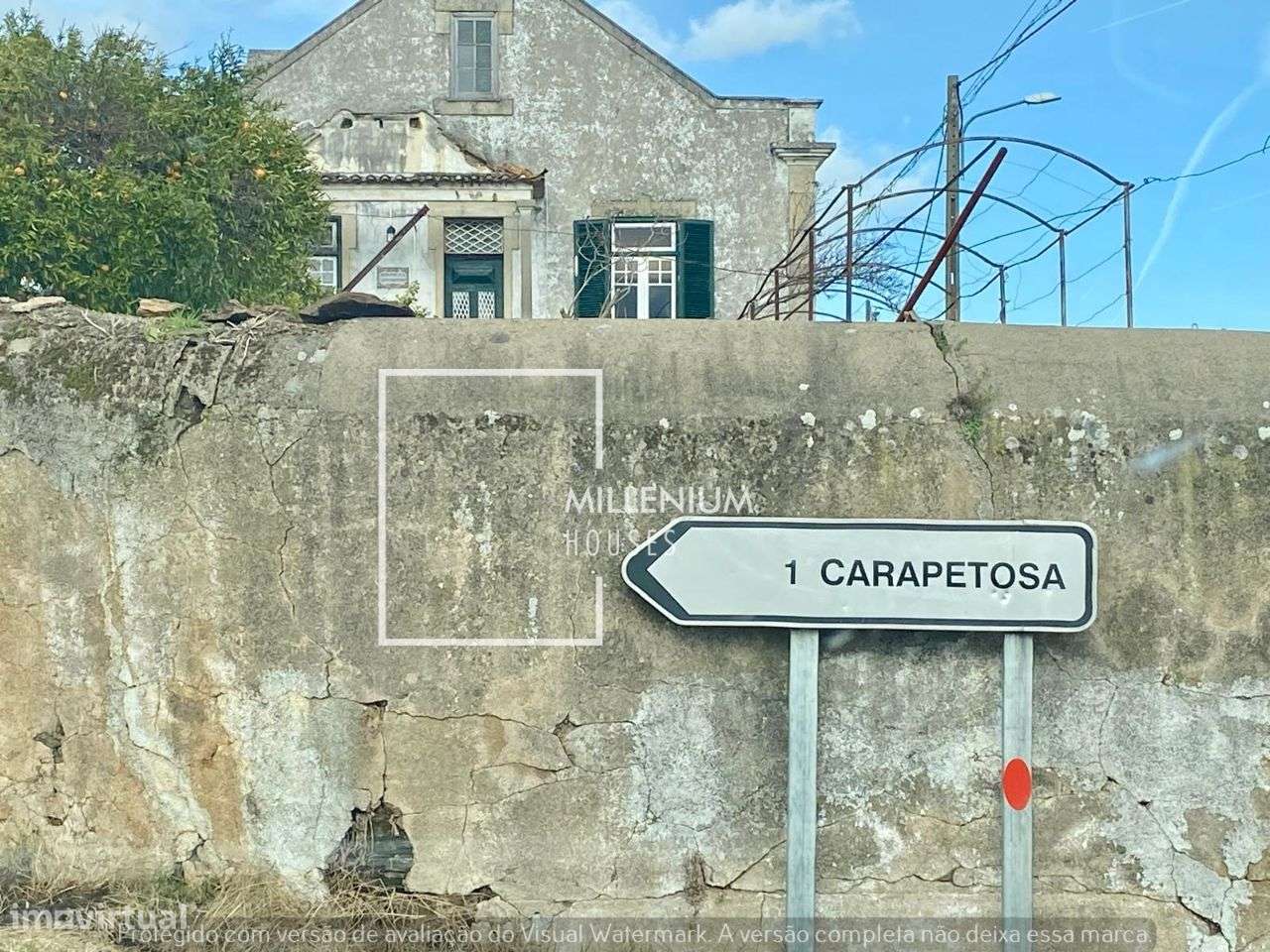 **Terreno Excecional em Sarnadas de Rodão**-12