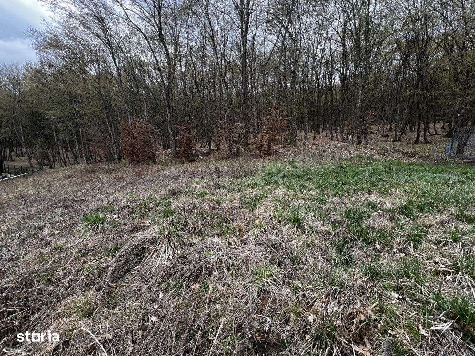 Teren Intravilan, 500mp, zona ANL - Imagine principală: 2/2