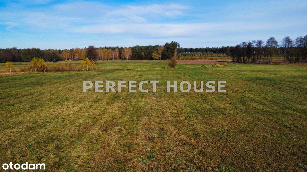 Urokliwa działka pod lasem, Wz, media - Pełny obrazek: 5/7