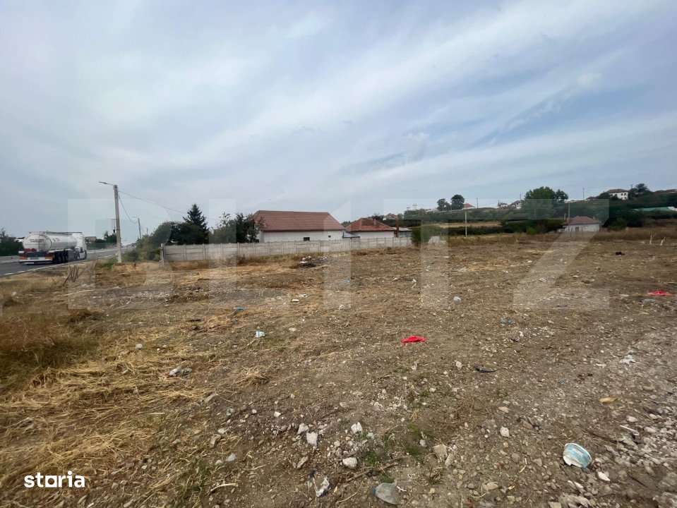 Teren 4046 mp in Racari cu deschidere de 28 ml la drumul european 70 - Imagine principală: 2/3