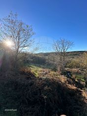 Terreno  para venda