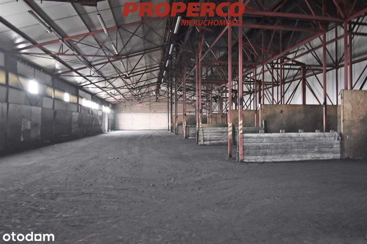 Hala 1600m2 , Czarnów, Kielce - Pełny obrazek: 4/9