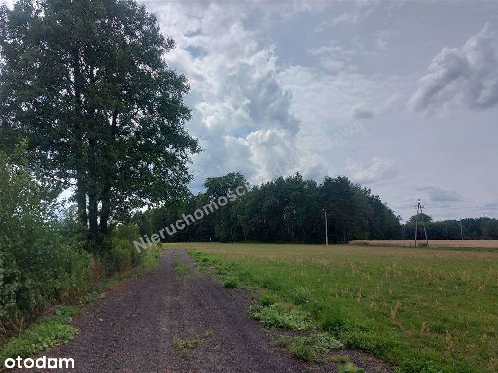 Działka Budowlana Blisko Lasu