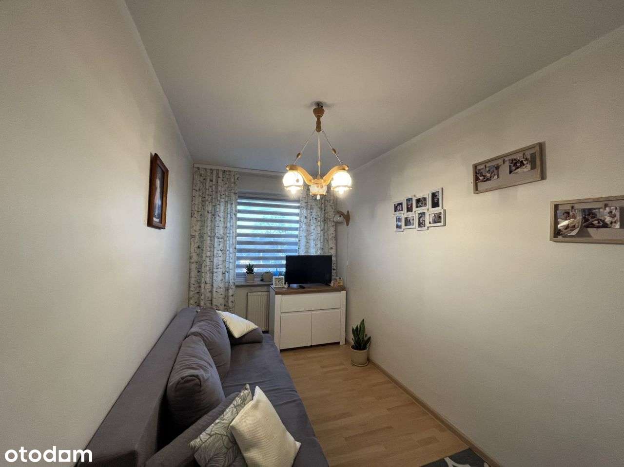 Pilna sprzedaż - Pełny obrazek: 5/14