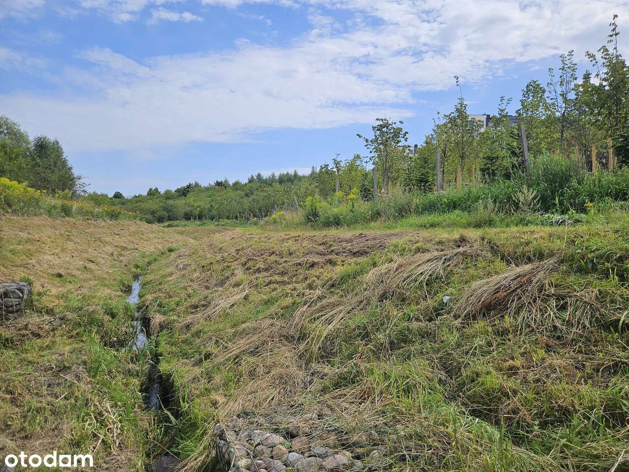 Otulone zielenią z narożnym ogrodem z widokiem| 3pok | Siłownia | PKM-17