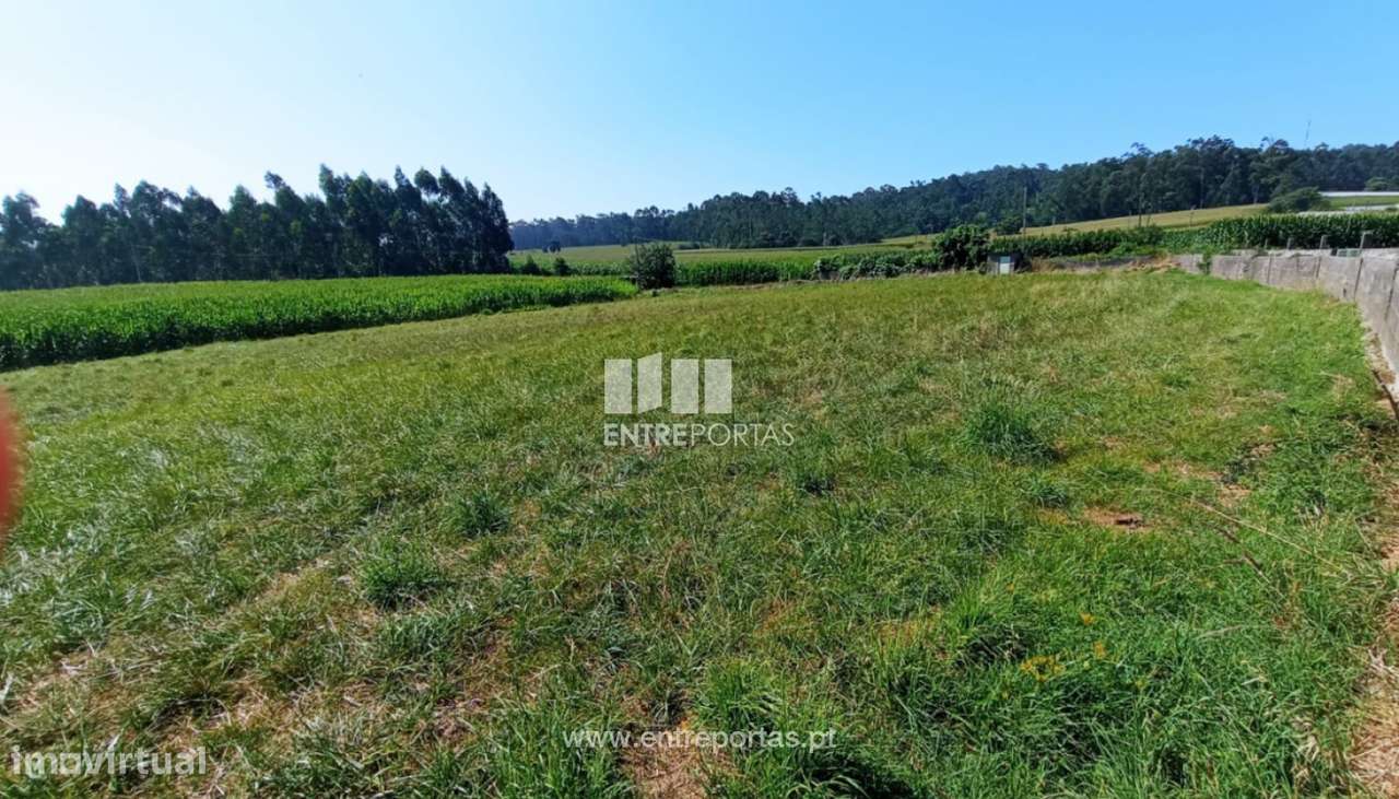 Venda de Terreno agrícola com 4187m2, Laúndos, Póvoa de Varzim - Grande imagem: 4/8