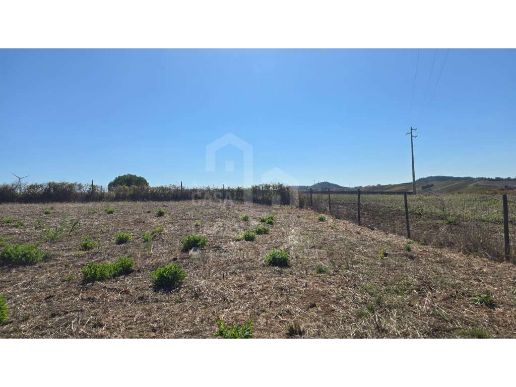 Vende Terreno - Ericeira 20 Km, A Casa das Casas - Grande imagem: 4/7