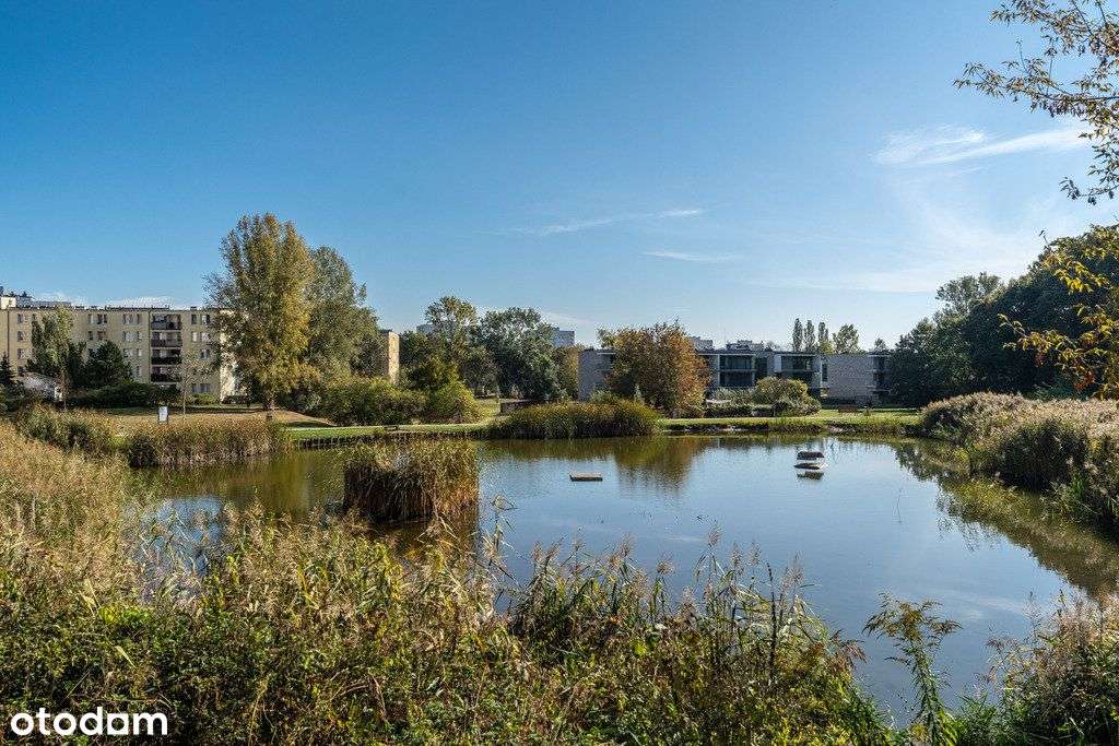 2 pokoje z widną kuchnią przy parku, Mokotów-10