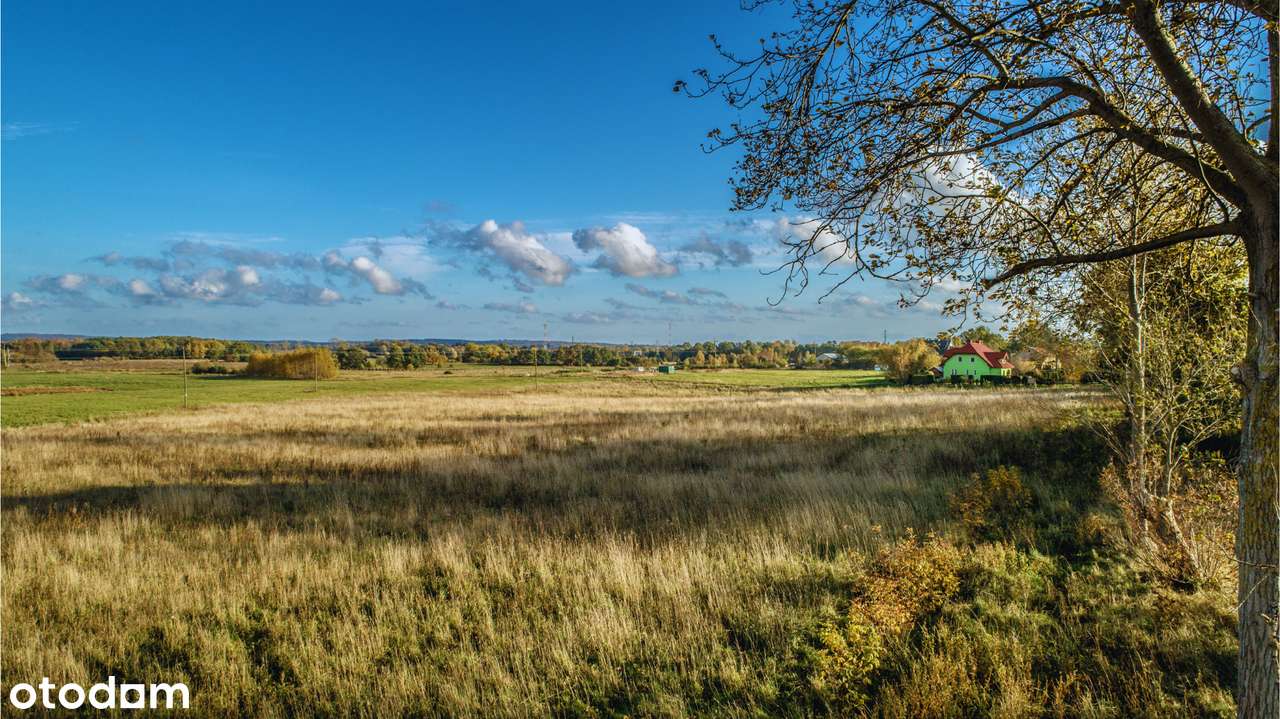 Działka, 500 m², Dębina - Pełny obrazek: 4/7