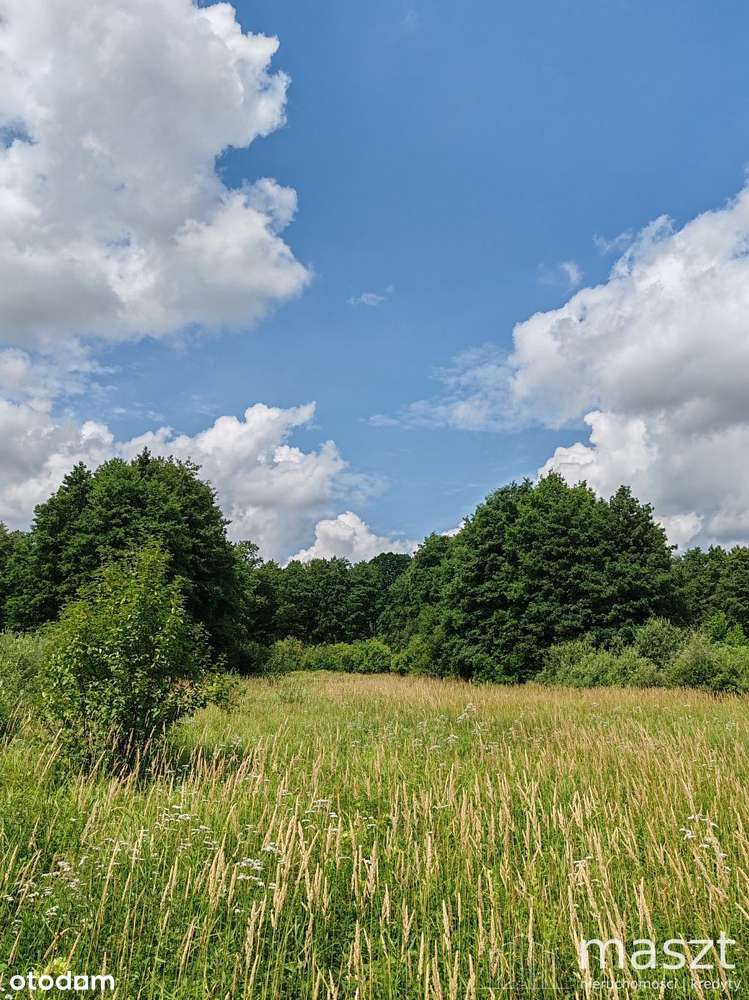 nowa cena - O K A Z J A - działka rolna - 1,9 ha-4