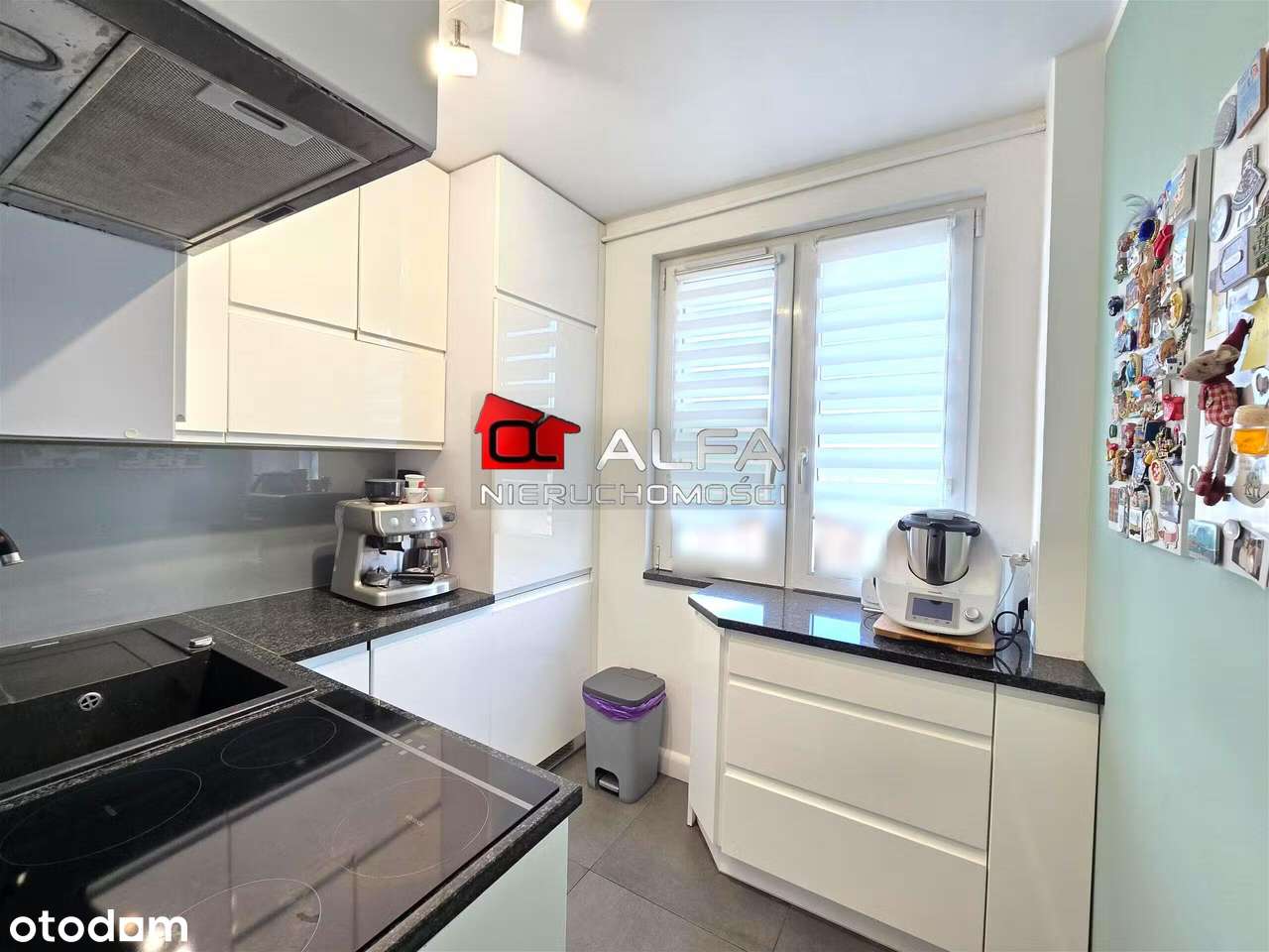 Dwupokojowe mieszkanie do wejścia na Osiedlu Młodych - Pełny obrazek: 5/8