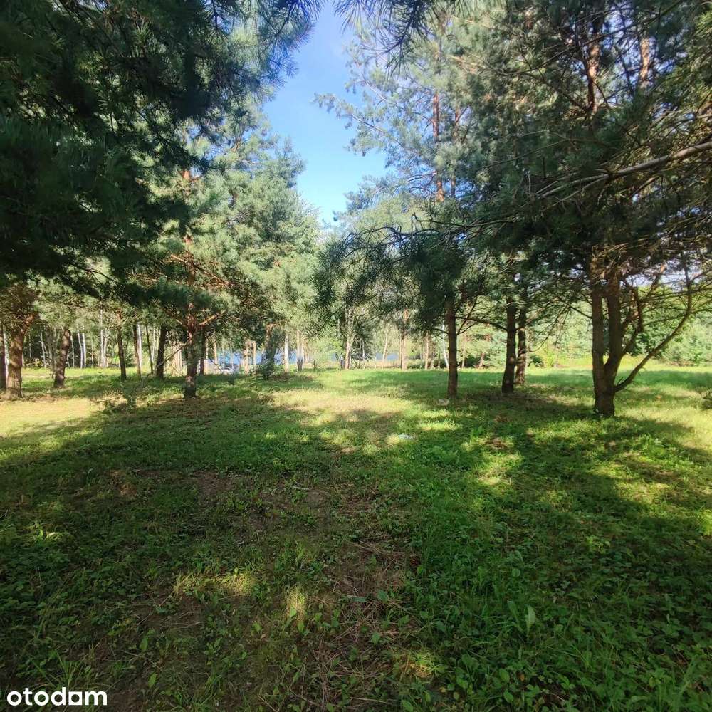 Pojezierze Iławskie - blisko las, jezioro, zamek, staw, MPZP, media-9