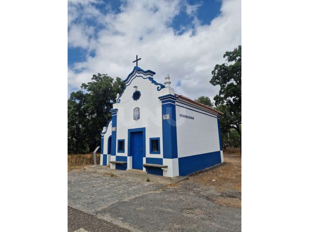 Terreno 14 HECTARES COM SOBREIROS E PINHEIROS-23