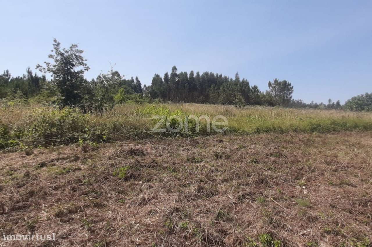 Terreno na Freguesia de Soure - Grande imagem: 5/17