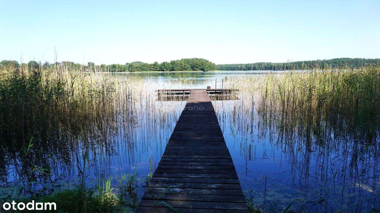 Duża działka z domkiem nad jeziorem. Okazja! - Pełny obrazek: 2/15