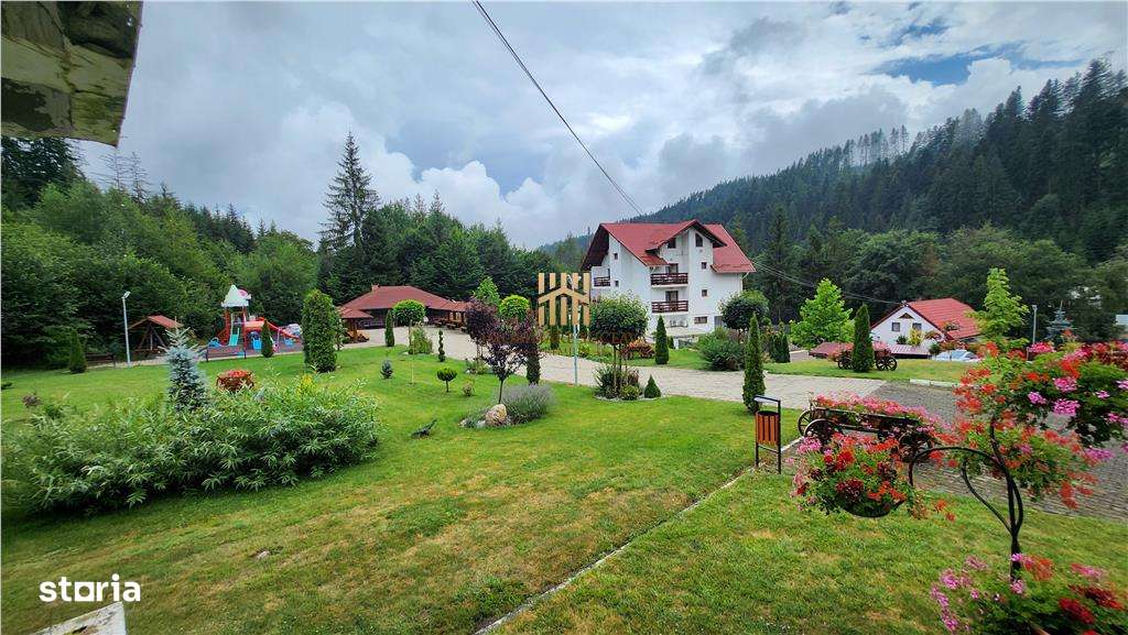 Penisune in Bucovina! Sucevita! De Vanzare! - Imagine principală: 4/12