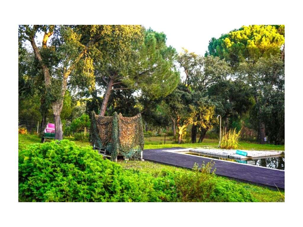 Monte Alentejano com 8,2 Hectares - Um Paraíso de Natureza e Sereni...-38