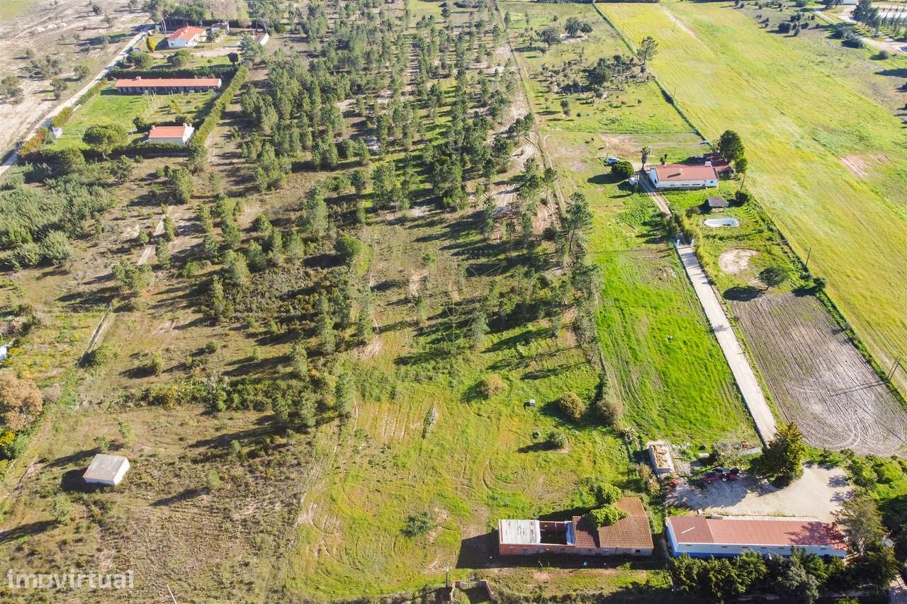 Terreno  Venda em Benavente,Benavente - Grande imagem: 3/8