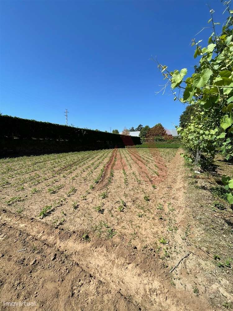 Terreno com 14.908m2 em Macieira da Lixa, Felgueiras - Grande imagem: 4/13