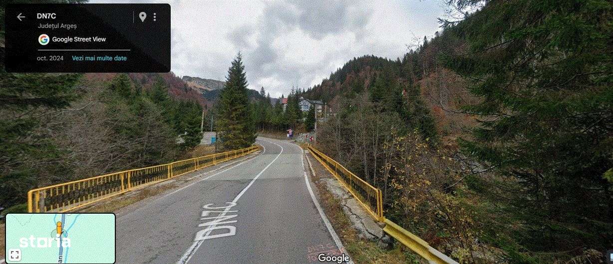 TEREN EXTRAVILAN PADURE PISCUL NEGRU ARGES-2