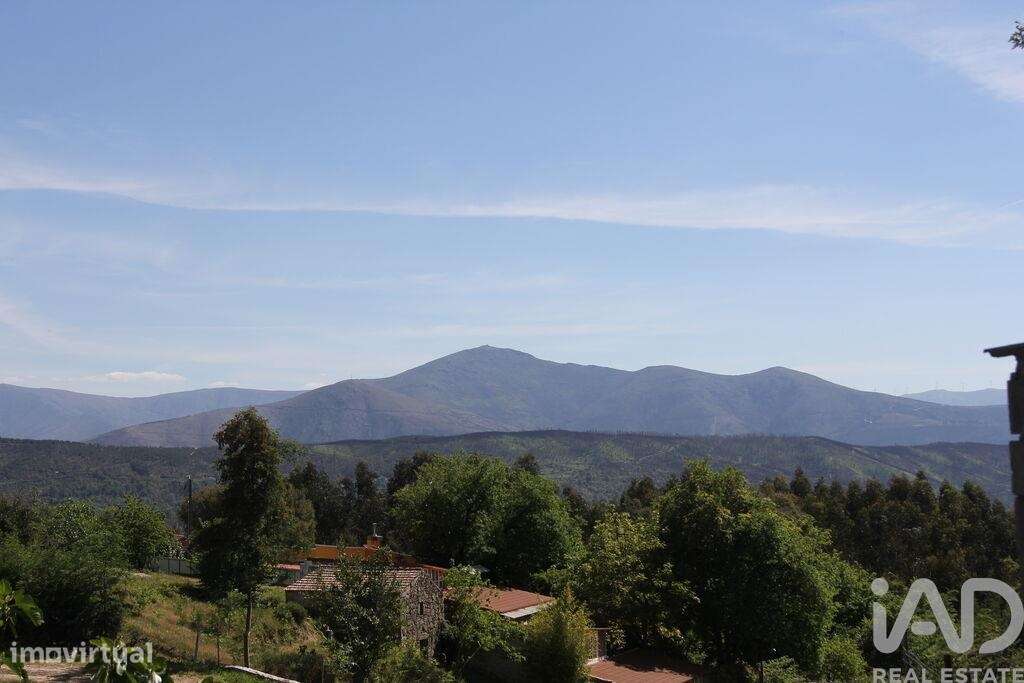 Terreno Agrícola em Oliveira do Hospital e São Paio de Gramaços-6