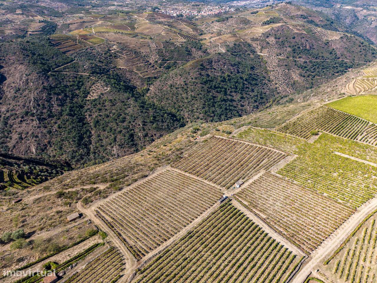 VINHA À VENDA EM MURÇA – REGIÃO DEMARCADA DO DOURO-8