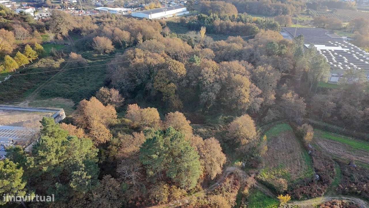 Quinta para Venda em Gondar, Guimarães – Oportunidade! - Grande imagem: 5/13