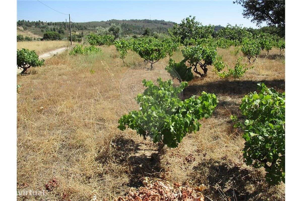 Quinta T0 para venda-9