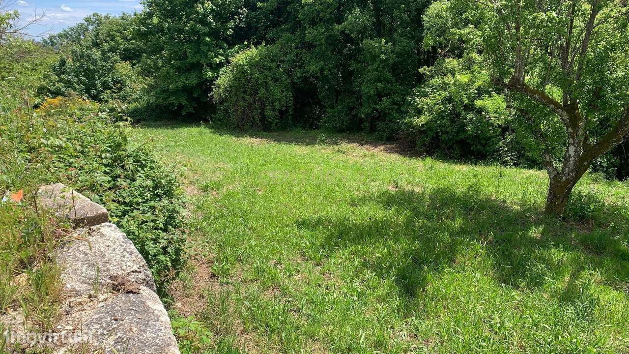 Terreno Urbano com 10546,49 m2 Junto ao Bar Periferia em Santo António - Grande imagem: 4/6