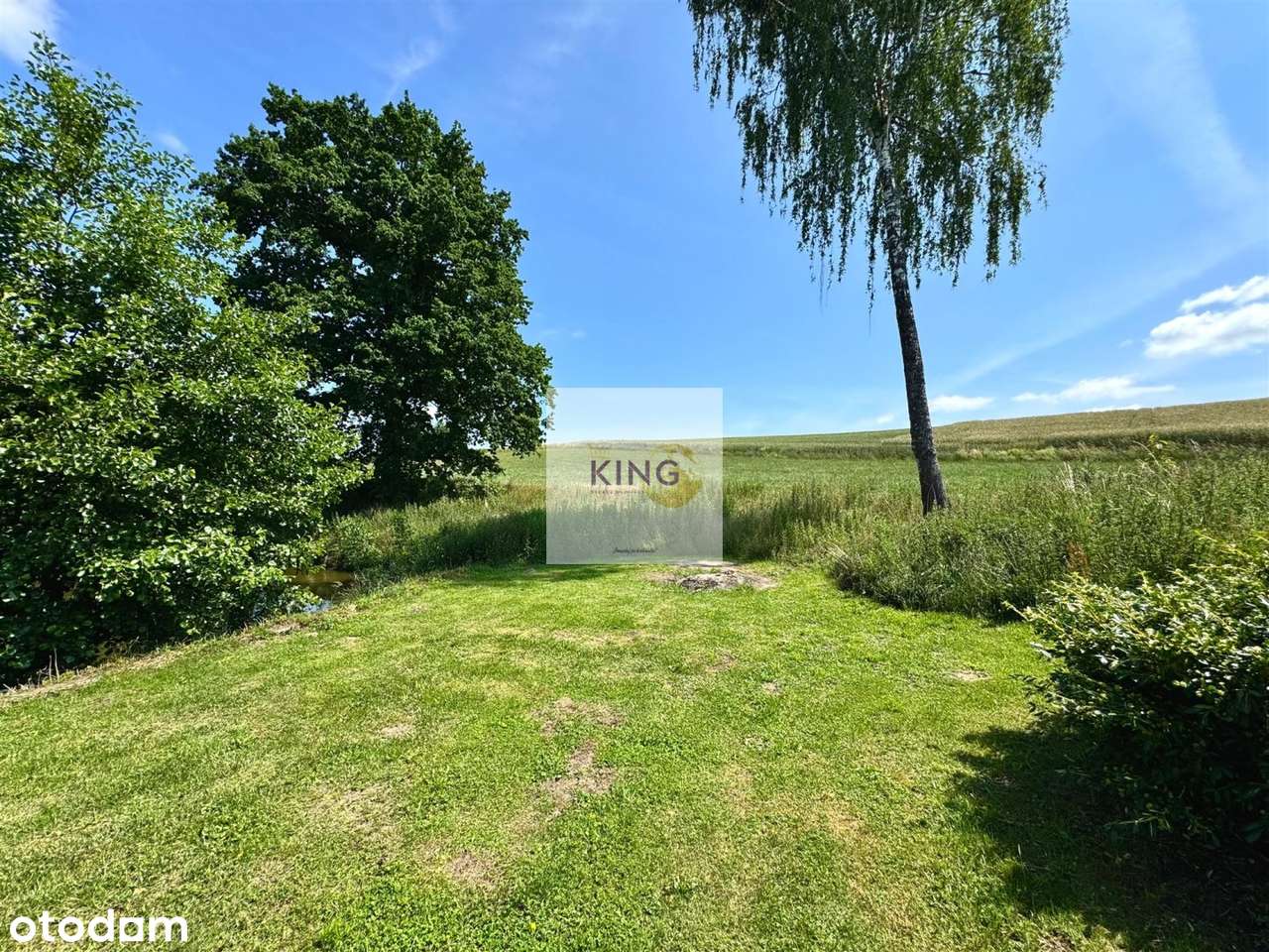 Działka z własnym jeziorem i domkiem całorocznym - Pełny obrazek: 4/6