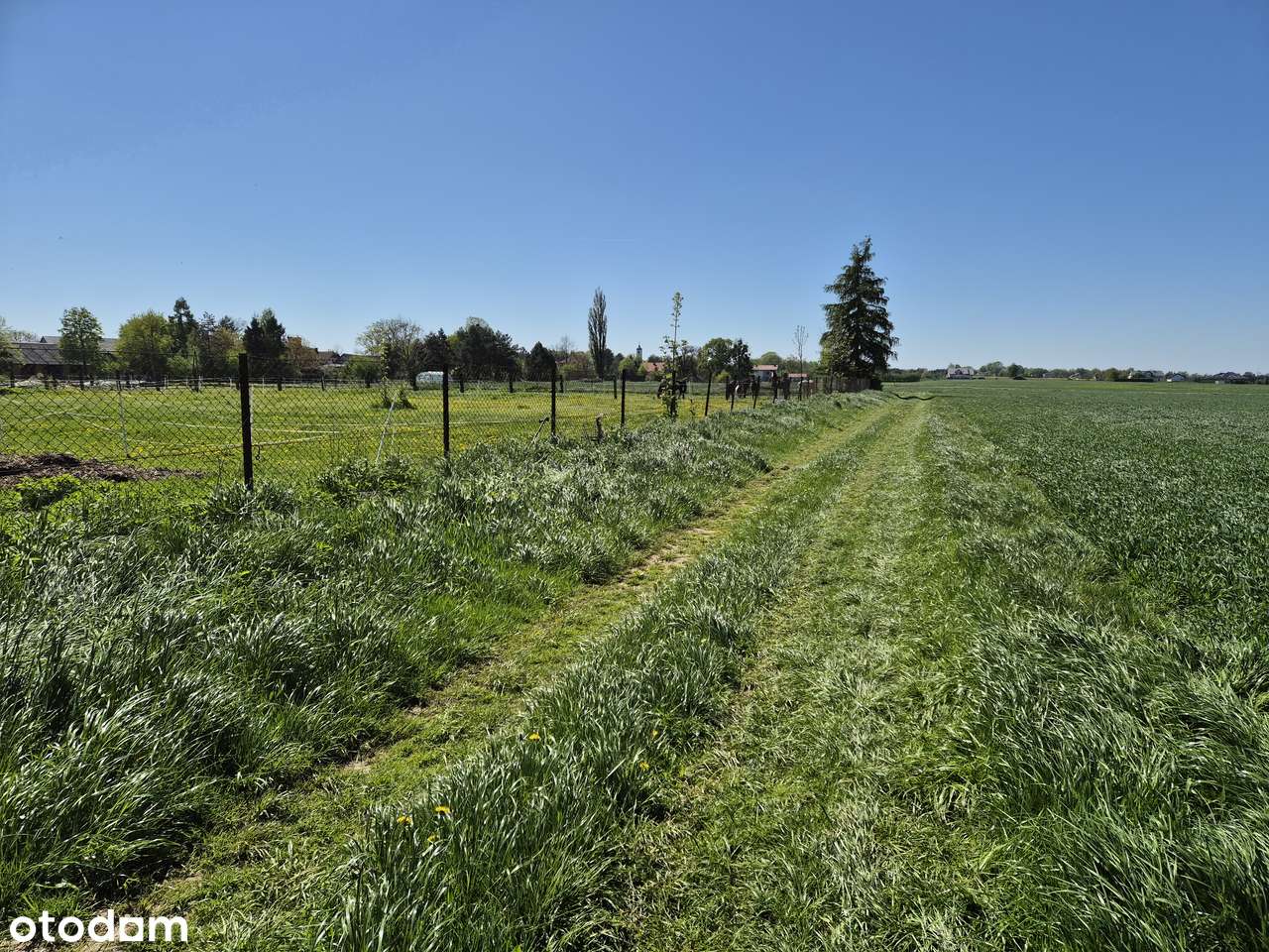 działka rolna w cichej okolicy, możliwe siedlisko - Pełny obrazek: 4/10