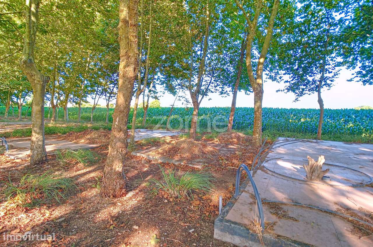 Quinta em Aveiro - Grande imagem: 5/19