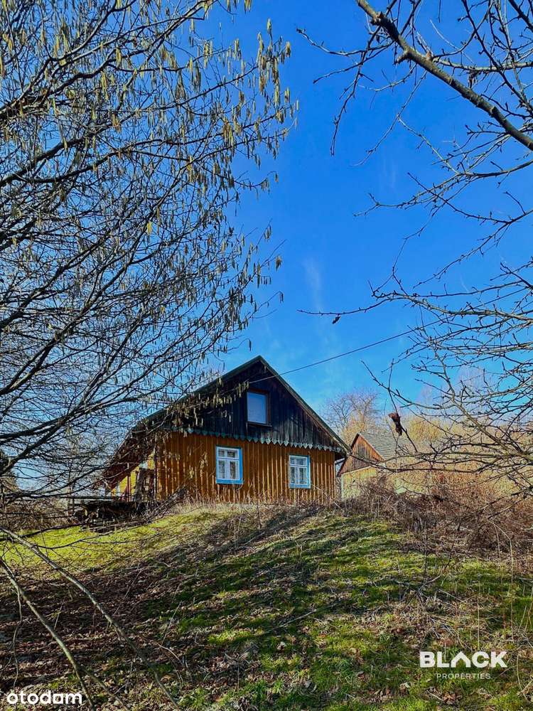 Działka 4,3 ha - ogromny potencjał inwestycyjny-1