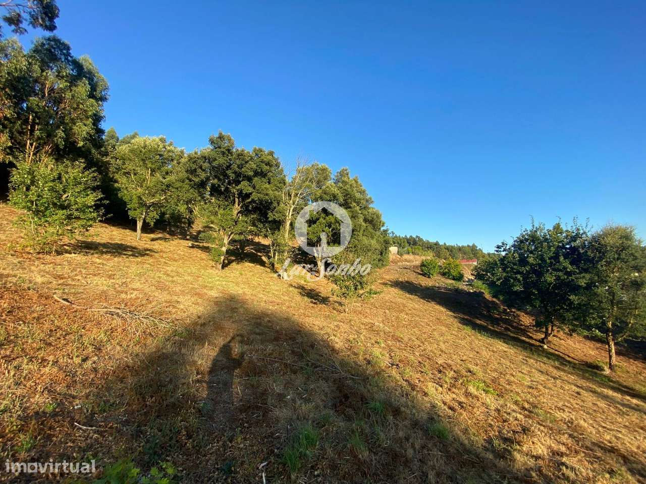 Terreno para Construção de Moradia entre Vizela/Lousada - Grande imagem: 4/4