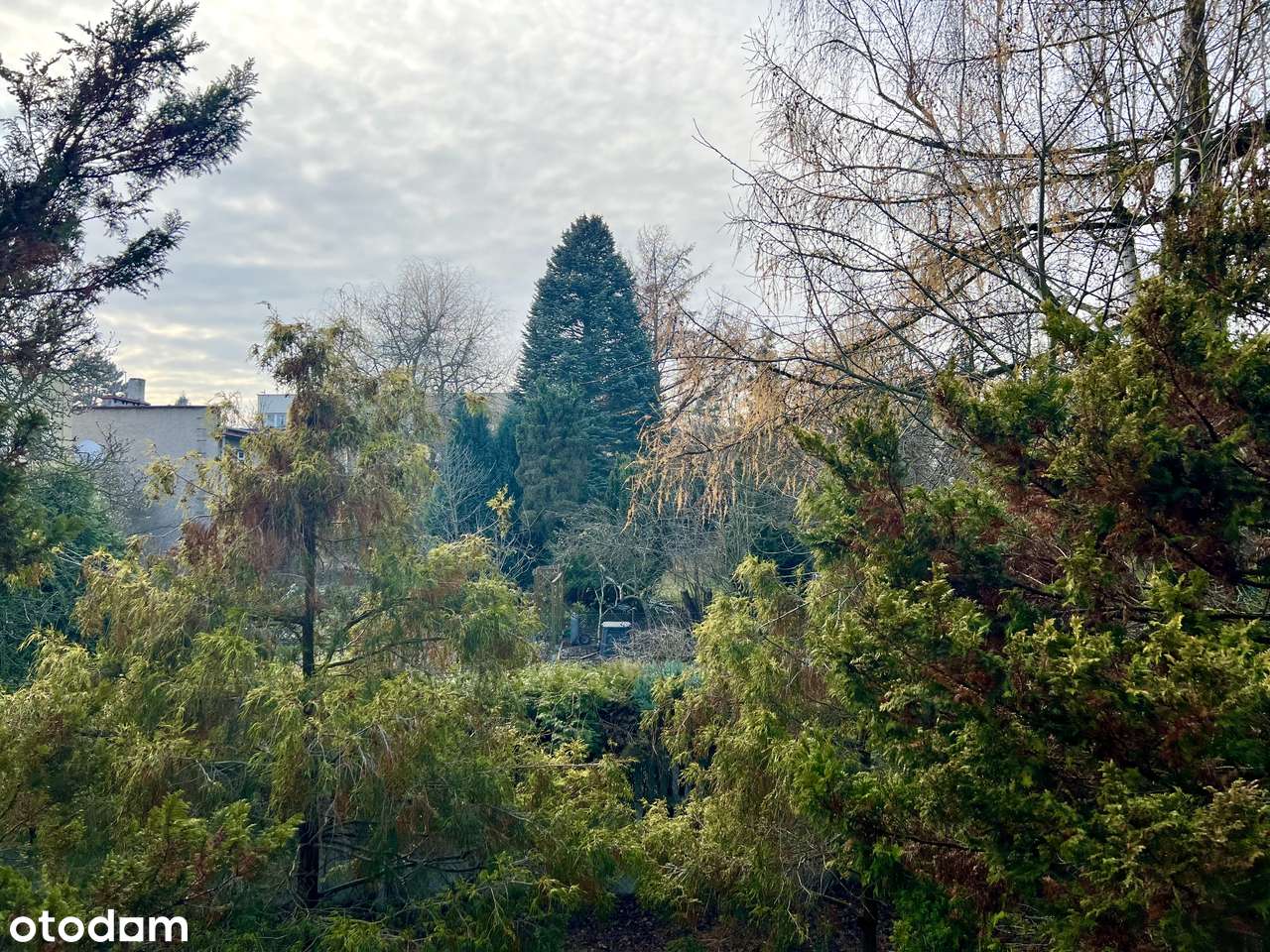 Dom w idealnym miejscu do remontu - Pełny obrazek: 3/8