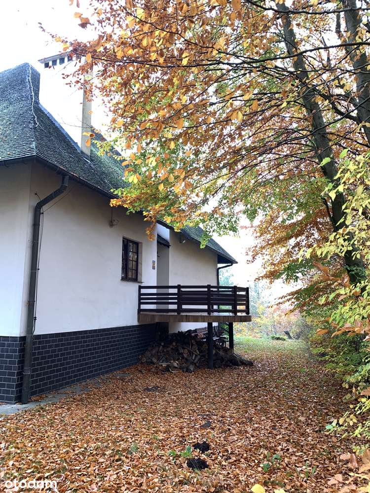 Gdynia Ten Dom jest właśnie dla Ciebie ! - Pełny obrazek: 2/20